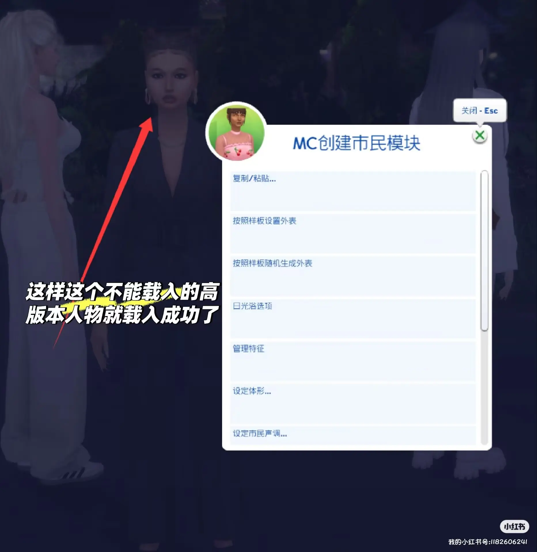 12.webp