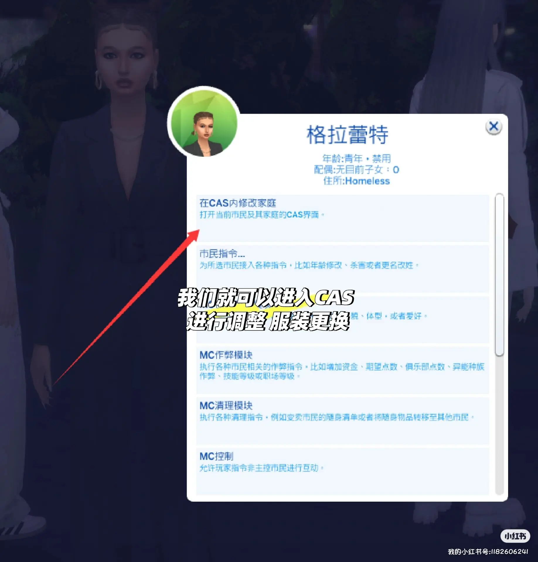 13.webp